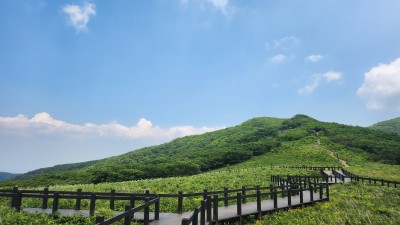 산림생물다양성 보전의 핵심공간, 산림유전자원보호구역 체계적인 관리 나선다!