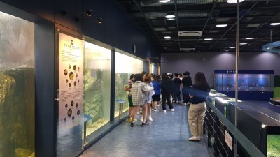 한강 물속 생물 알아보고 진로체험 하세요